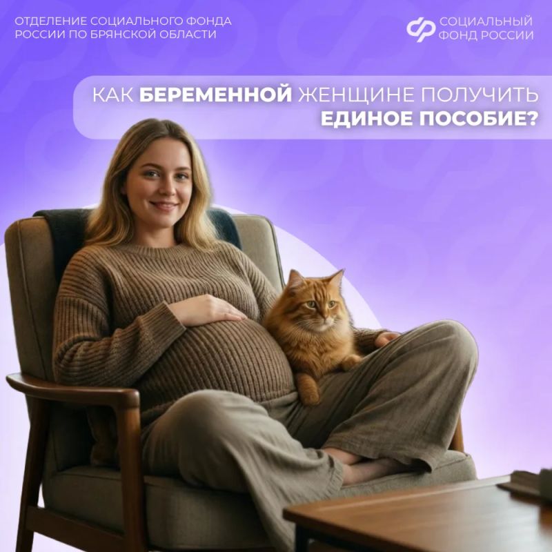 Чтобы получить пособие, нужно: