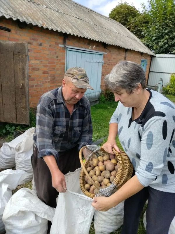 Осенняя акция «Наполни социальный погребок»