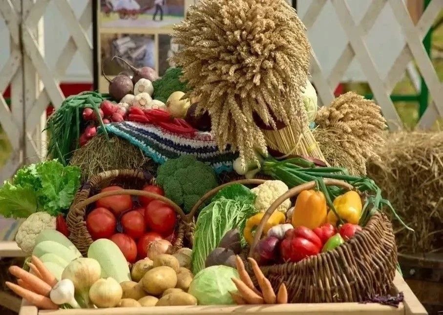 С Днём работника сельского хозяйства и перерабатывающей промышленности