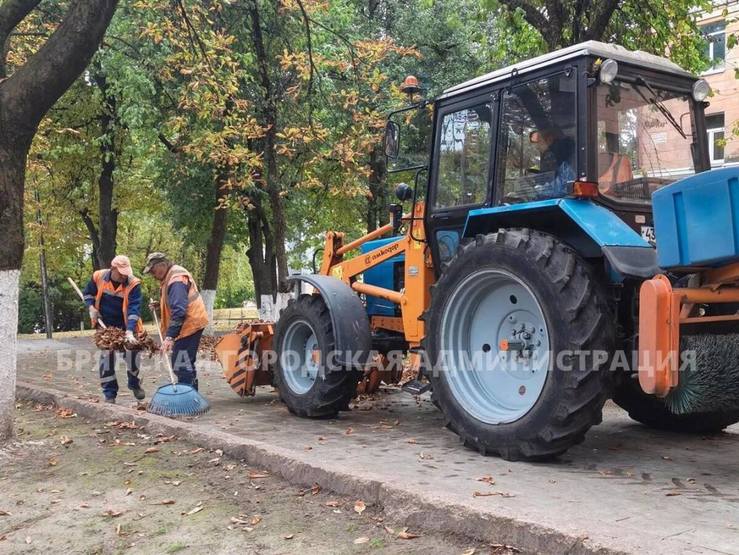 В Брянске продолжают покос травы и уборку опавшей листвы
