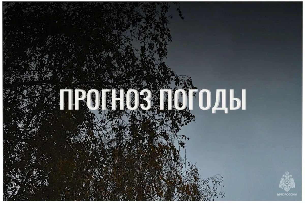 По данным ЦГМС, 13 октября в регионе прогнозируется облачно, днём с прояснениями