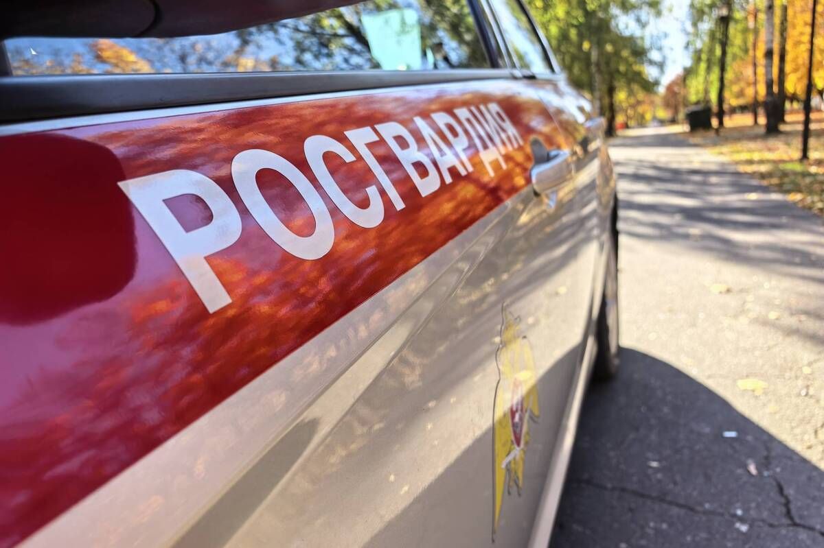 Брянские росгвардейцы задержали двоих парней за ночной слив бензина