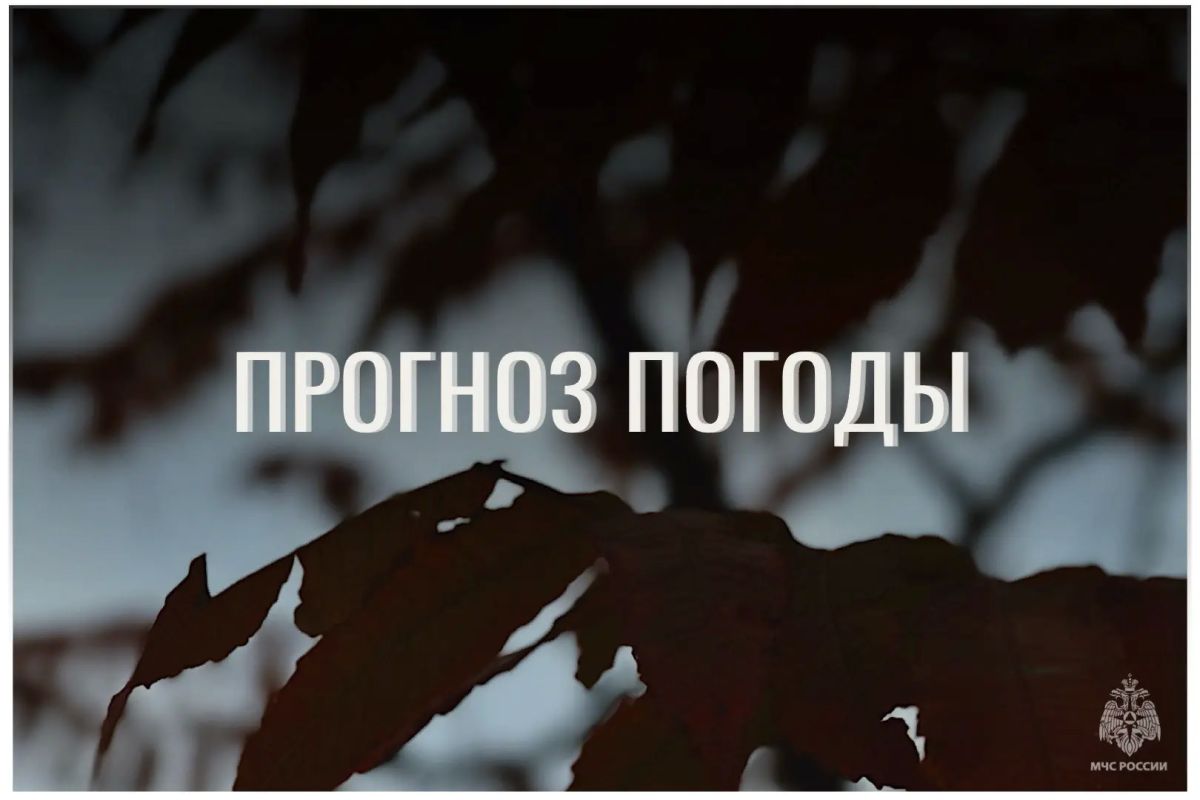 По данным ЦГМС, 16 октября в регионе прогнозируется облачно с прояснениями