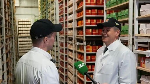 В Брянской области планируют создать сырный кластер "Мирослава" и благотворительный фонд для подростков