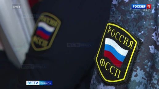 Грузоперевозчик из Брянска заплатил 106 тысяч рублей вместо 26 тысяч