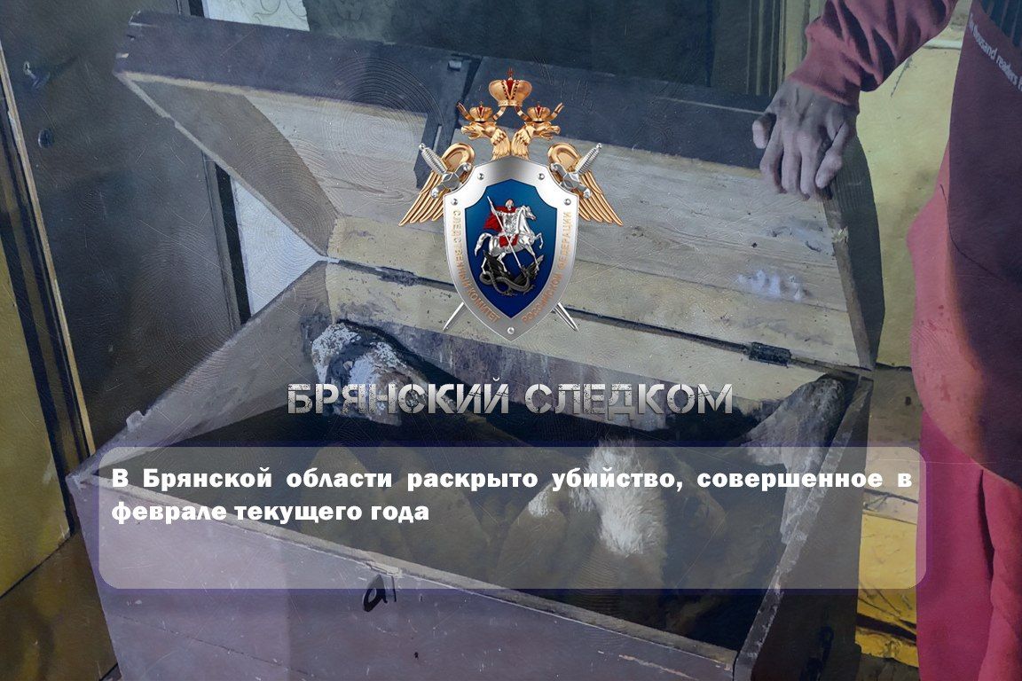 В Брянской области раскрыто убийство, совершенное в феврале текущего года