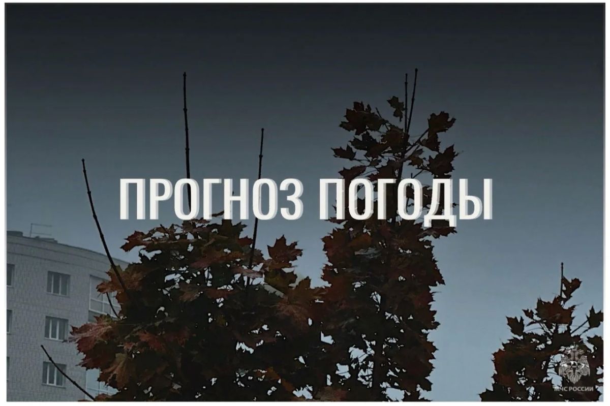 По данным ЦГМС, 19 октября в регионе прогнозируется облачно с прояснениями