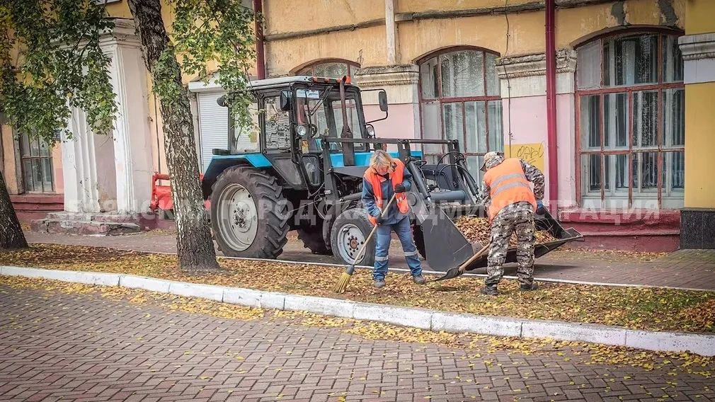 В Брянске убирают листву и обновляют контейнерные площадки
