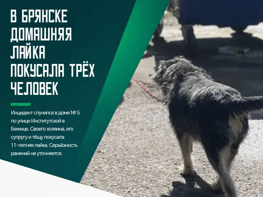 Собака напала на хозяина, его жену и тёщу