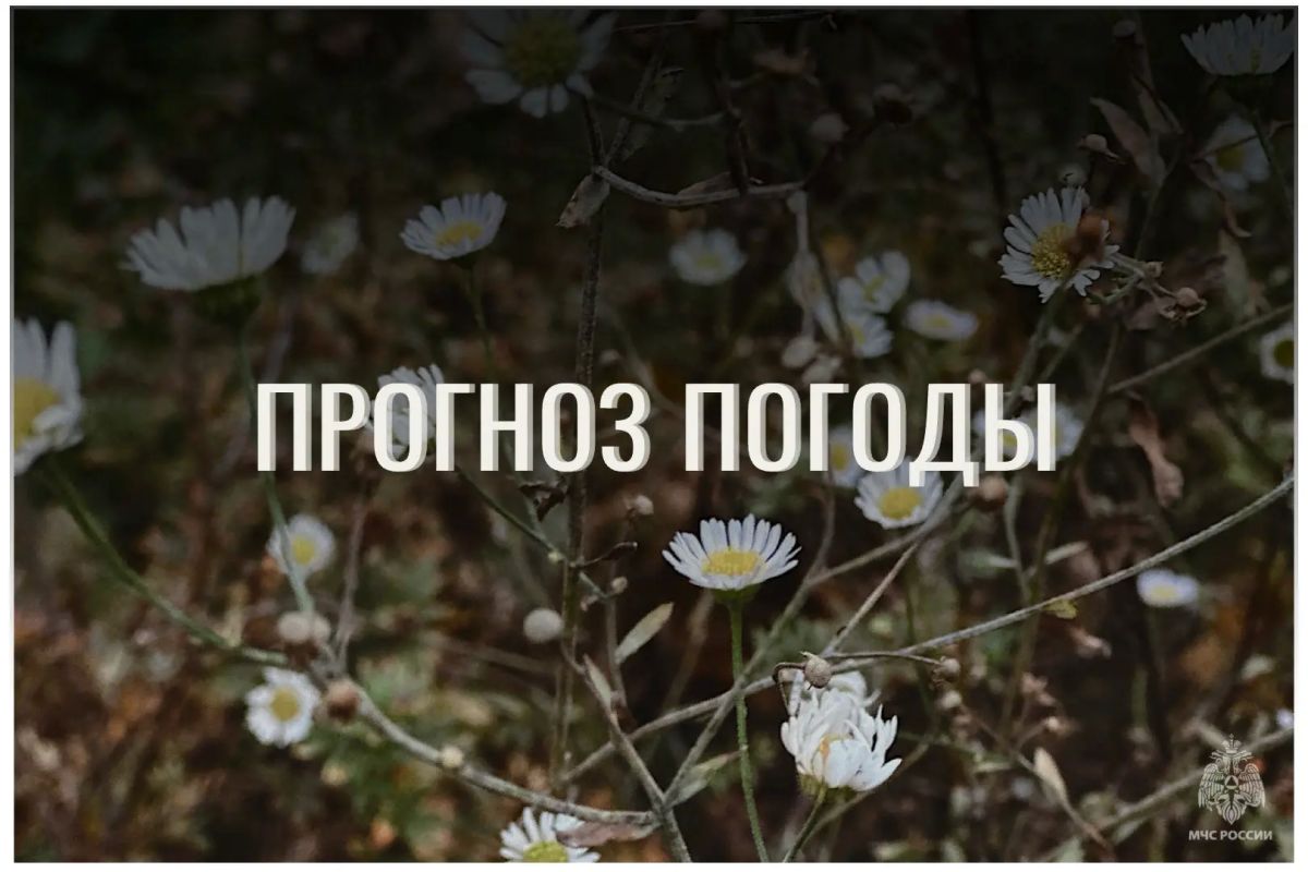 По данным ЦГМС, 22 октября в регионе прогнозируется облачно с прояснениями