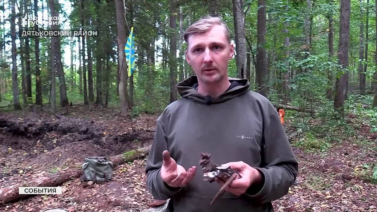 Бесценная находка: под Дятьково поисковики обнаружили фрагменты советского самолета