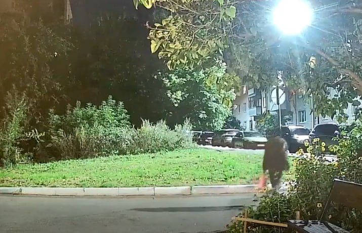 Житель Брянска хотел отвадить от жены поклонника и сжег его машину за 4,8 млн рублей