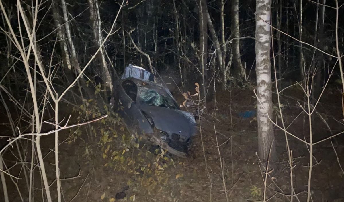 Молодой водитель BMW погиб вылетев в кювет на брянской трассе
