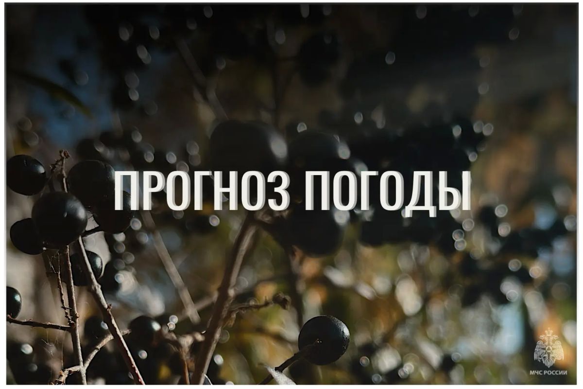 По данным ЦГМС, 28 октября в регионе прогнозируется облачно с прояснениями
