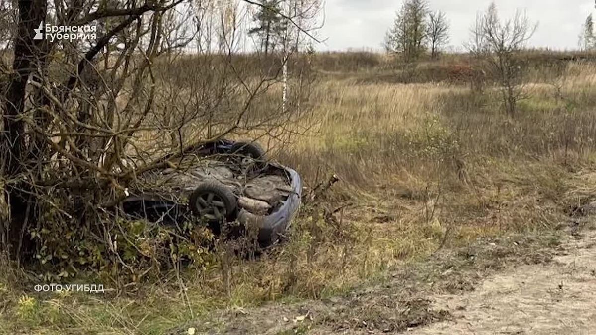 Теракт в Советском районе, горячая линия для пострадавших и предупреждение росгвардейцев: БПЛА разбрасывают взрывные устройства, любое прикосновение смертельно