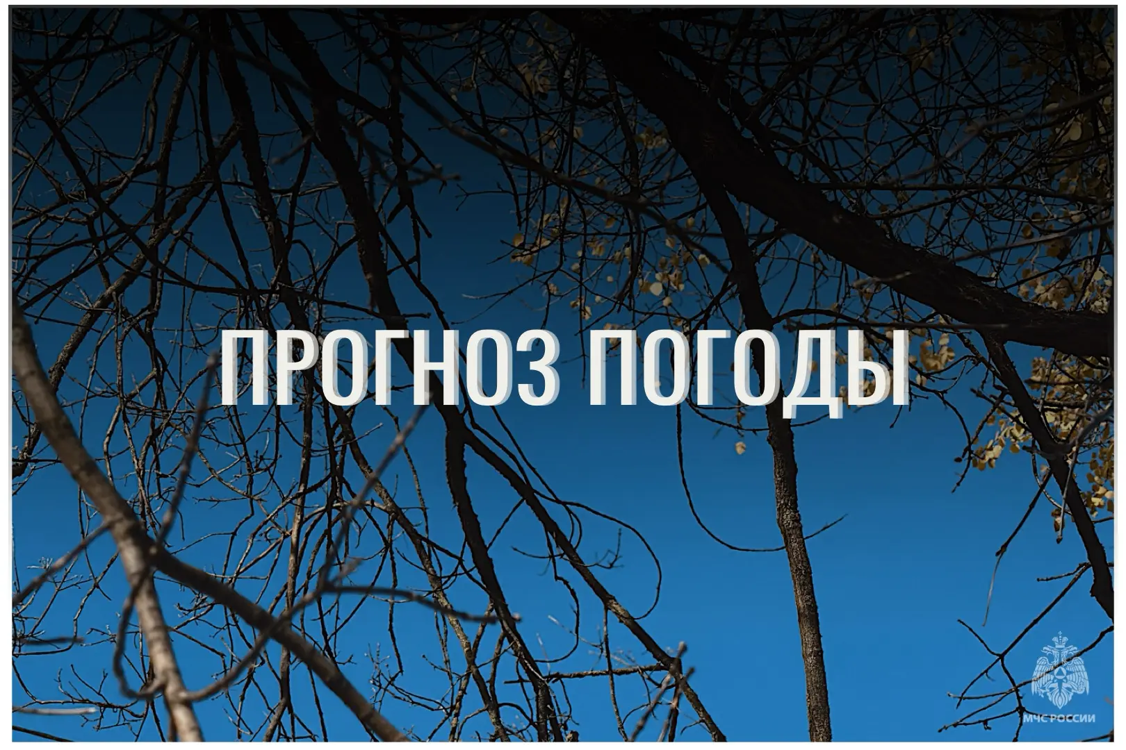 По данным ЦГМС, 30 октября в регионе прогнозируется переменная облачность