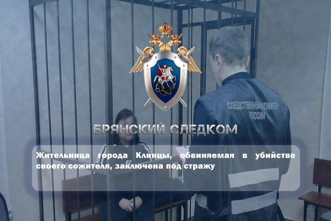 Жительница города Клинцы, обвиняемая в убийстве своего сожителя, заключена под стражу
