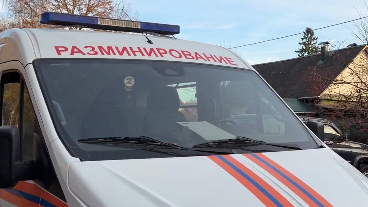 Беспилотники и пневматику хотят использовать для разминирования Брянщины