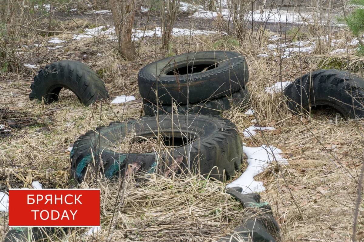 Брянцам напомнили, что делать со старыми автопокрышками